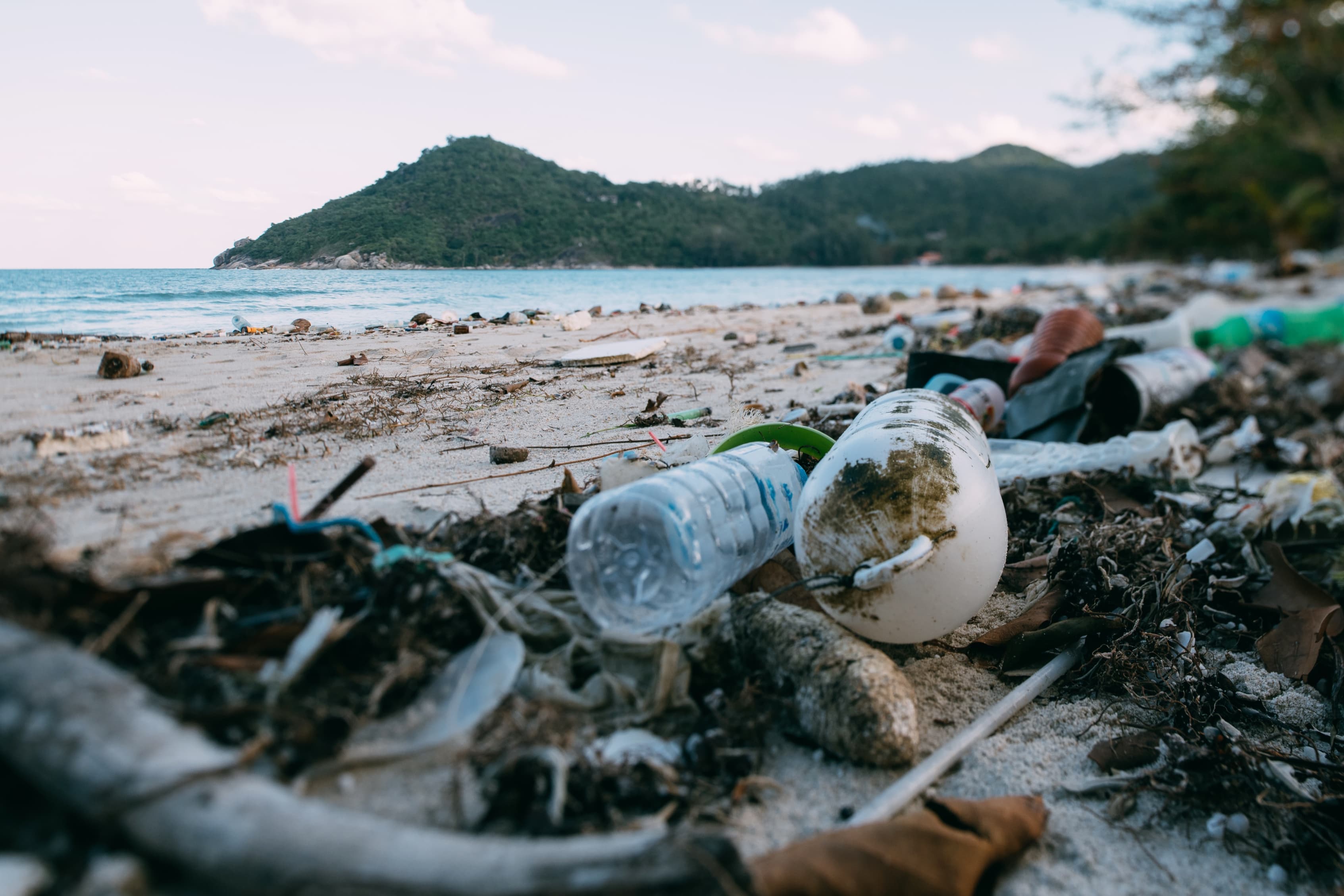 Residuos plásticos en la playa